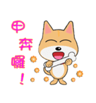 Shiba lnu-Tairu（個別スタンプ：37）