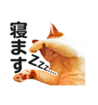 ネコのニコ ver.2（個別スタンプ：2）