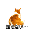 ネコのニコ ver.2（個別スタンプ：7）