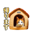ネコのニコ ver.2（個別スタンプ：10）