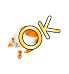 ネコのニコ ver.2（個別スタンプ：11）