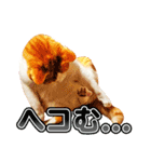ネコのニコ ver.2（個別スタンプ：17）