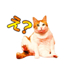ネコのニコ ver.2（個別スタンプ：23）
