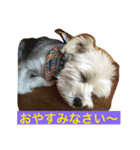 佐賀んコロちゃん。 3（個別スタンプ：6）