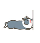 Qiu Guo's daily（個別スタンプ：9）
