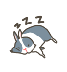 Qiu Guo's daily（個別スタンプ：10）