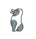 Qiu Guo's daily（個別スタンプ：11）