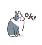 Qiu Guo's daily（個別スタンプ：16）