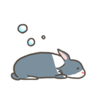 Qiu Guo's daily（個別スタンプ：18）