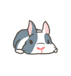 Qiu Guo's daily（個別スタンプ：20）