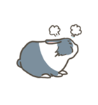 Qiu Guo's daily（個別スタンプ：21）