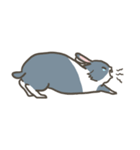 Qiu Guo's daily（個別スタンプ：22）