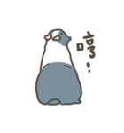 Qiu Guo's daily（個別スタンプ：28）