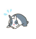 Qiu Guo's daily（個別スタンプ：31）