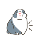 Qiu Guo's daily（個別スタンプ：32）