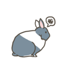 Qiu Guo's daily（個別スタンプ：33）
