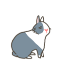 Qiu Guo's daily（個別スタンプ：36）