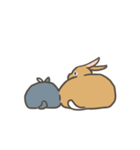 Qiu Guo's daily（個別スタンプ：38）