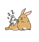 Qiu Guo's daily（個別スタンプ：40）