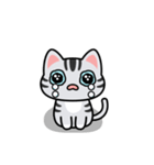 UNO CAT No.09 Basic Sticker（個別スタンプ：12）