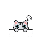 UNO CAT No.09 Basic Sticker（個別スタンプ：20）