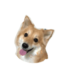I Love Dog 101（個別スタンプ：1）