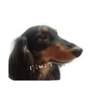 I Love Dog 101（個別スタンプ：2）