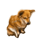 I Love Dog 101（個別スタンプ：3）