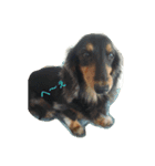 I Love Dog 101（個別スタンプ：4）