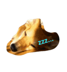 I Love Dog 101（個別スタンプ：7）