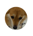 I Love Dog 101（個別スタンプ：8）