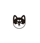 黒柴プチです（個別スタンプ：1）