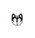 黒柴プチです（個別スタンプ：5）