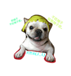 Little fat man's daily（個別スタンプ：1）