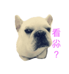 Little fat man's daily（個別スタンプ：7）
