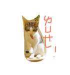 GD ＆ Cookie（個別スタンプ：7）