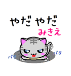 みきえ ねこ（個別スタンプ：17）