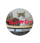 2familystamp.（個別スタンプ：14）