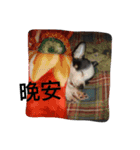 puggi（個別スタンプ：5）
