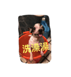 puggi（個別スタンプ：7）