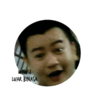 BORN IN MEDAN（個別スタンプ：7）