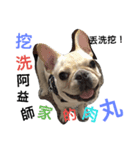 mawan so cute（個別スタンプ：8）
