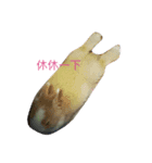Cute rabbit beeboo apple（個別スタンプ：2）