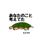 真也画伯のスタンプ（個別スタンプ：19）