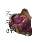 Lucas life1（個別スタンプ：15）