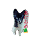 くろちゃんです（個別スタンプ：3）