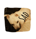 Doggy Dohtzai（個別スタンプ：9）