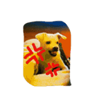 Doggy Dohtzai（個別スタンプ：20）
