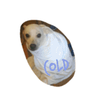 Doggy Dohtzai（個別スタンプ：22）