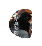 a-bo（個別スタンプ：2）
